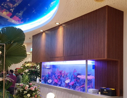 Aquarium Wall